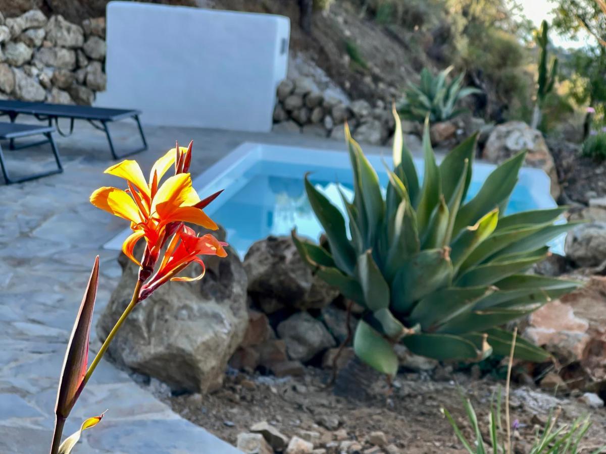 Villa Atalaya
